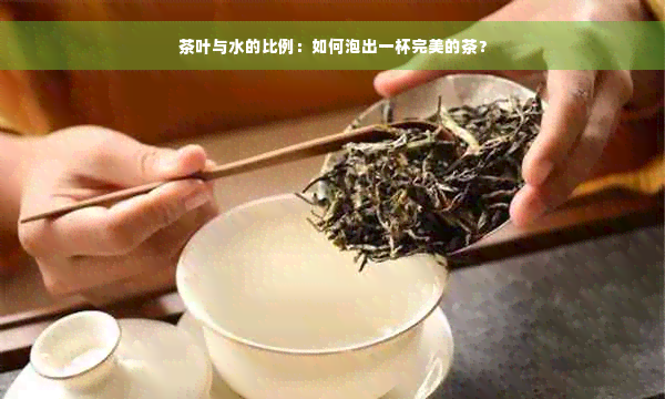 茶叶与水的比例：如何泡出一杯完美的茶？