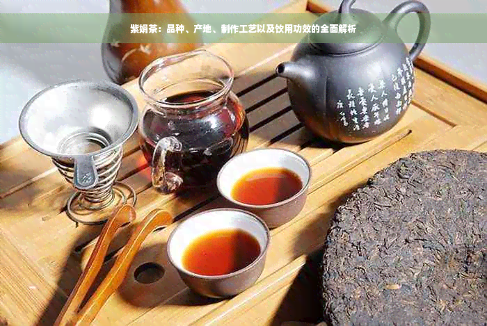 紫娟茶：品种、产地、制作工艺以及饮用功效的全面解析