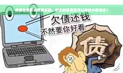 美团生活费逾期后还款，剩余款项是否可以继续分期偿还？