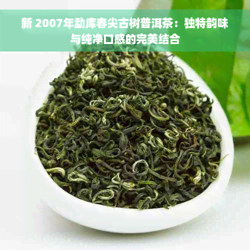 新 2007年勐库春尖古树普洱茶：独特韵味与纯净口感的完美结合