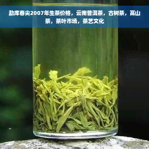 勐库春尖2007年生茶价格，云南普洱茶，古树茶，高山茶，茶叶市场，茶艺文化