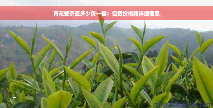 青花瓷茶壶多少钱一套：包括价格和详细信息