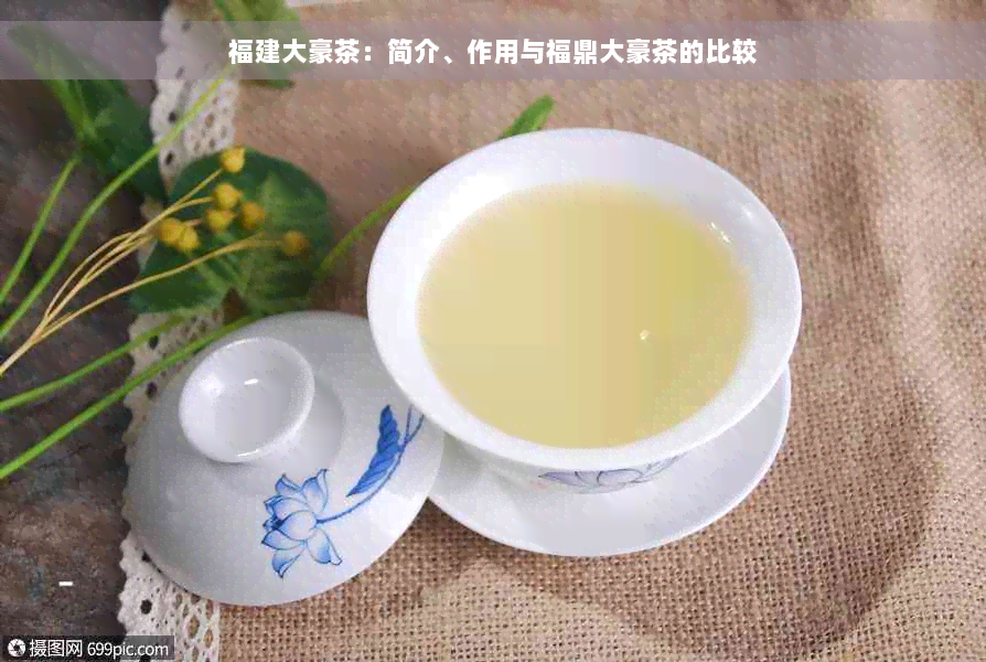 福建大豪茶：简介、作用与福鼎大豪茶的比较