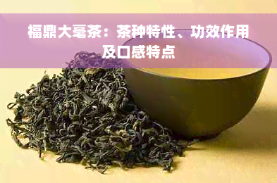 福鼎大毫茶：茶种特性、功效作用及口感特点