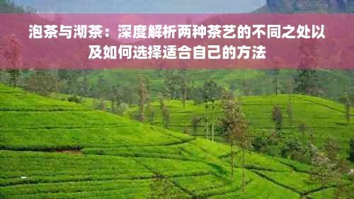 泡茶与沏茶：深度解析两种茶艺的不同之处以及如何选择适合自己的方法