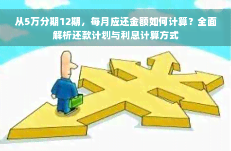 从5万分期12期，每月应还金额如何计算？全面解析还款计划与利息计算方式