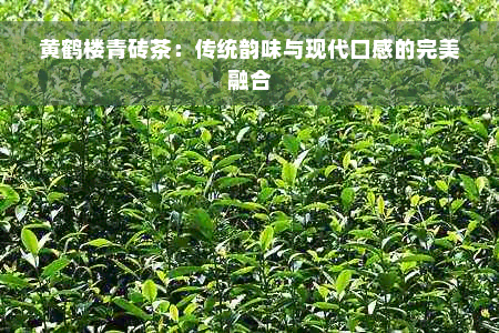 黄鹤楼青砖茶：传统韵味与现代口感的完美融合