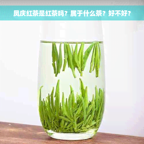 凤庆红茶是红茶吗？属于什么茶？好不好？