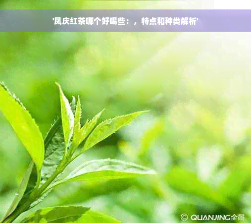 '凤庆红茶哪个好喝些：，特点和种类解析'