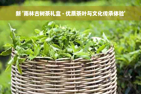 新 '雨林古树茶礼盒 - 优质茶叶与文化传承体验'