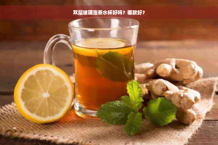 双层玻璃泡茶水杯好吗？哪款好？