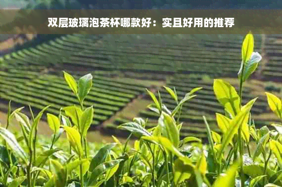 双层玻璃泡茶杯哪款好：实且好用的推荐