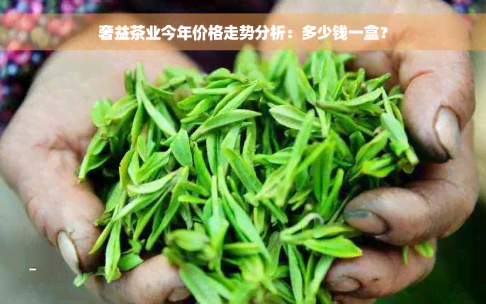 奢益茶业今年价格走势分析：多少钱一盒？