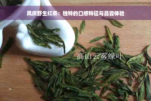 凤庆野生红茶：独特的口感特征与品尝体验