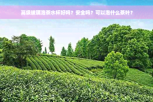 高级玻璃泡茶水杯好吗？安全吗？可以泡什么茶叶？