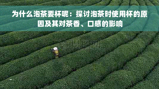 为什么泡茶要杯呢：探讨泡茶时使用杯的原因及其对茶香、口感的影响