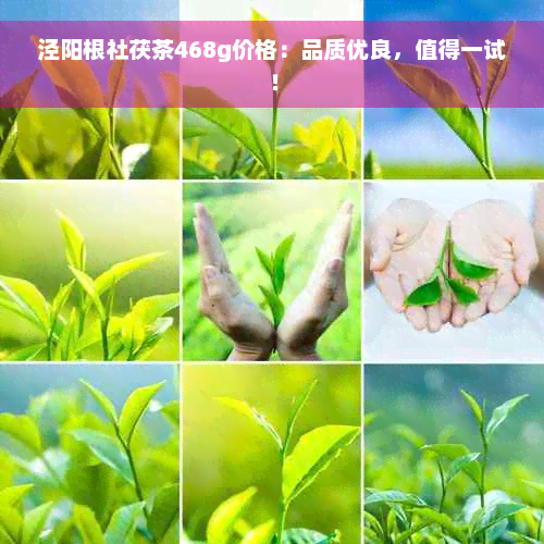 泾阳根社茯茶468g价格：品质优良，值得一试！