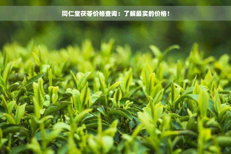 同仁堂茯苓价格查询：了解最实的价格！