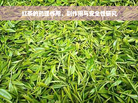 红茶的药理作用、副作用与安全性研究