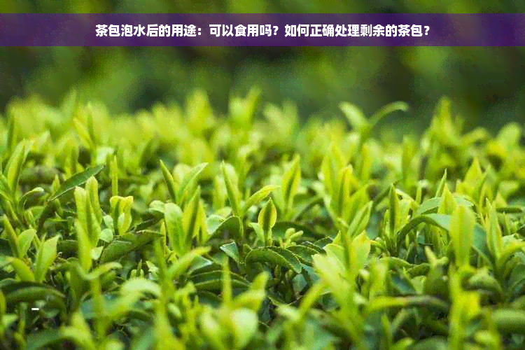 茶包泡水后的用途：可以食用吗？如何正确处理剩余的茶包？