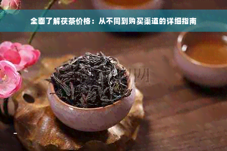 全面了解茯茶价格：从不同到购买渠道的详细指南