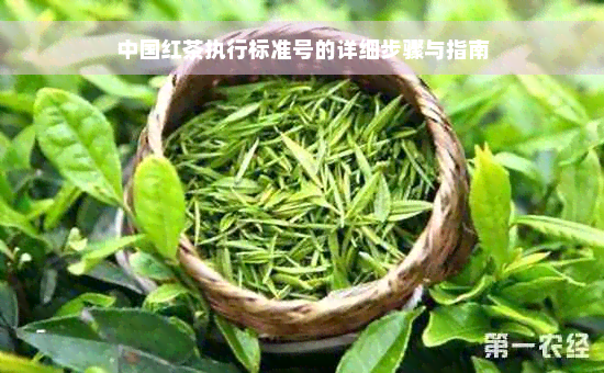 中国红茶执行标准号的详细步骤与指南