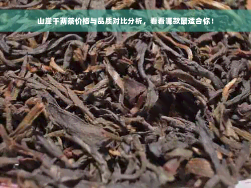 山崖千两茶价格与品质对比分析，看看哪款最适合你！