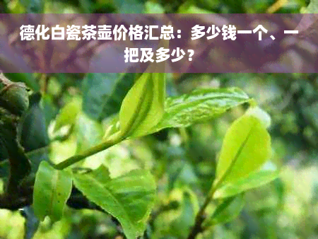 德化白瓷茶壶价格汇总：多少钱一个、一把及多少？