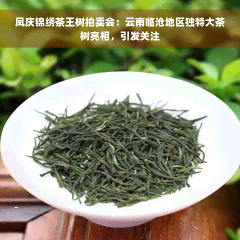 凤庆锦绣茶王树拍卖会：云南临沧地区独特大茶树亮相，引发关注