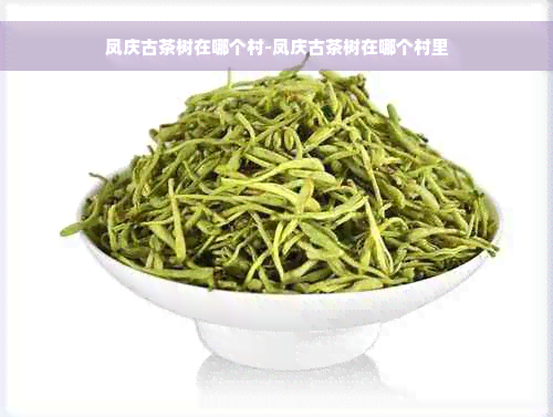 凤庆古茶树在哪个村-凤庆古茶树在哪个村里