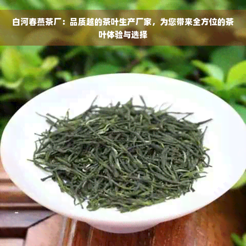 白河春燕茶厂：品质越的茶叶生产厂家，为您带来全方位的茶叶体验与选择