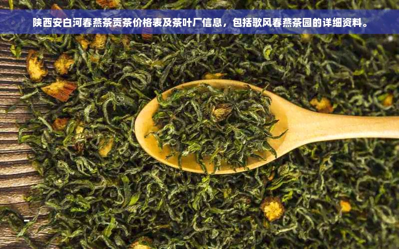 陕西安白河春燕茶贡茶价格表及茶叶厂信息，包括歌风春燕茶园的详细资料。