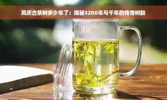 凤庆古茶树多少年了：揭秘3200年与千年的传奇树龄