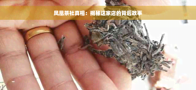 凤凰茶社真相：揭秘这家店的背后故事