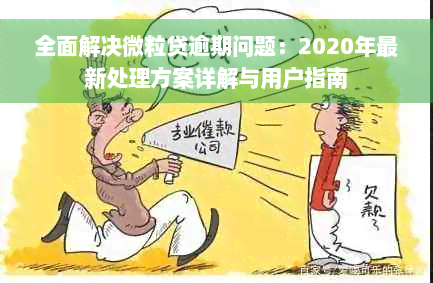 全面解决微粒贷逾期问题：2020年最新处理方案详解与用户指南