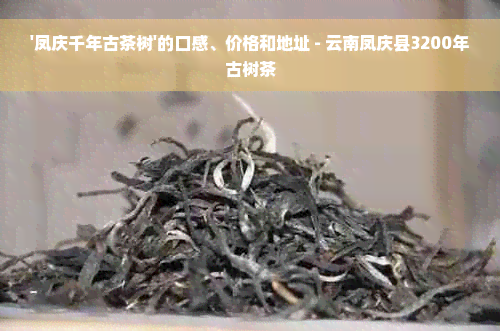 '凤庆千年古茶树'的口感、价格和地址 - 云南凤庆县3200年古树茶