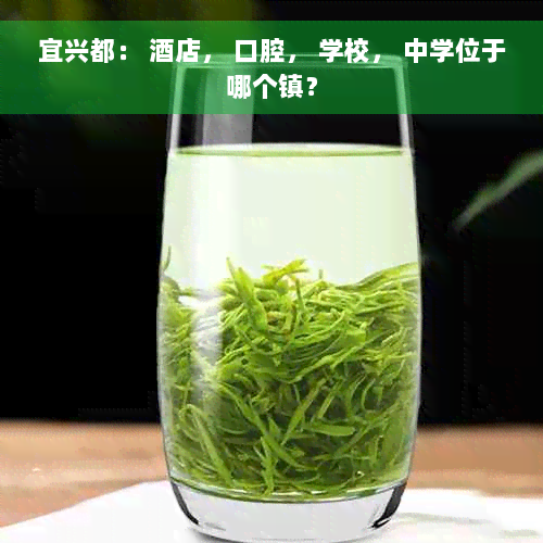 宜兴都： 酒店， 口腔， 学校， 中学位于哪个镇？