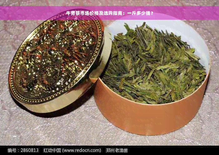 牛蒡茶市场价格及选购指南：一斤多少钱？