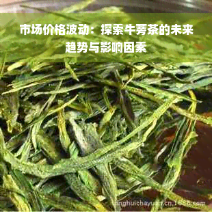 市场价格波动：探索牛蒡茶的未来趋势与影响因素