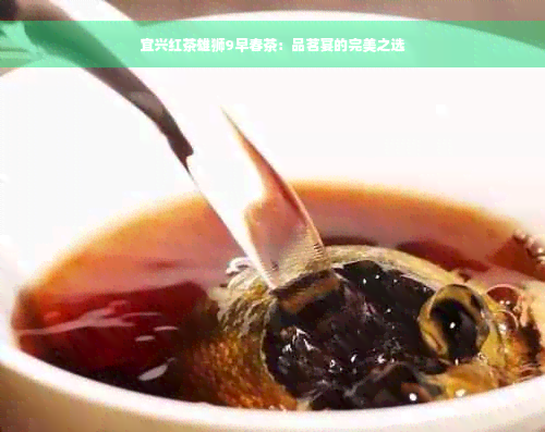 宜兴红茶雄狮9早春茶：品茗宴的完美之选