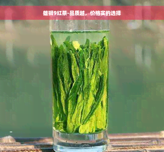 雄狮9红茶-品质越，价格实的选择