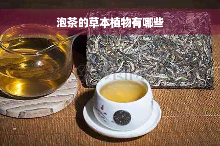 泡茶的草本植物有哪些