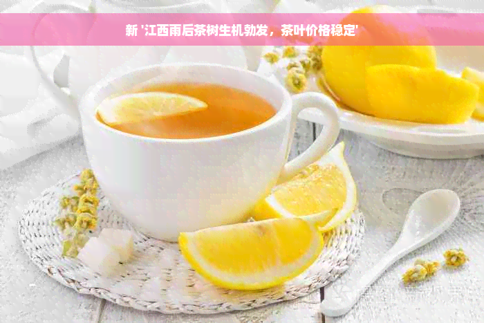 新 '江西雨后茶树生机勃发，茶叶价格稳定'