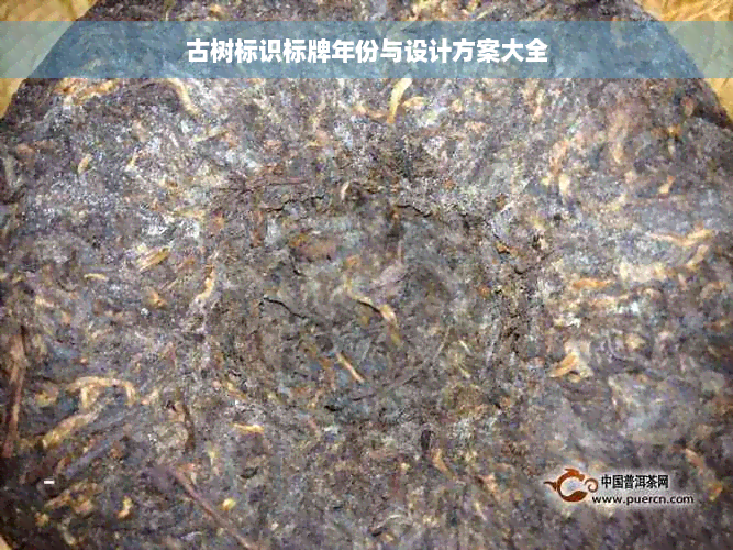 古树标识标牌年份与设计方案大全