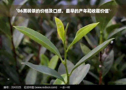 '06黑砖茶的价格及口感，最早的产年和收藏价值'