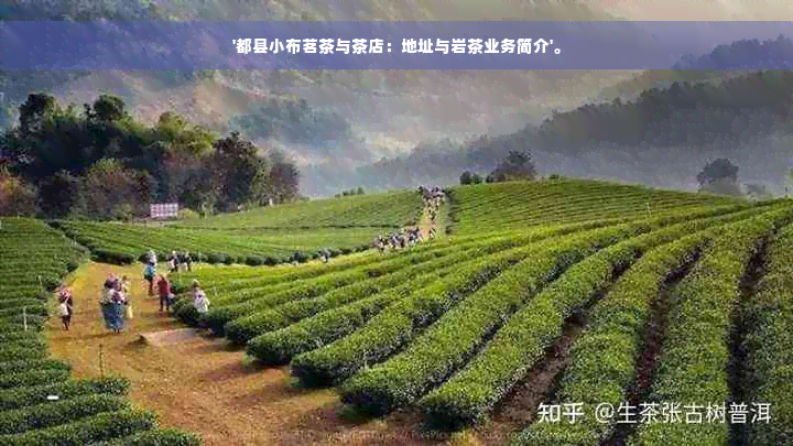 '都县小布茗茶与茶店：地址与岩茶业务简介'。