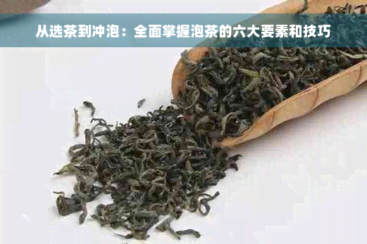 从选茶到冲泡：全面掌握泡茶的六大要素和技巧