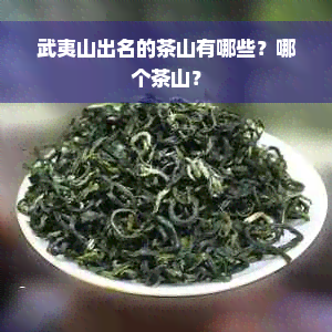 武夷山出名的茶山有哪些？哪个茶山？