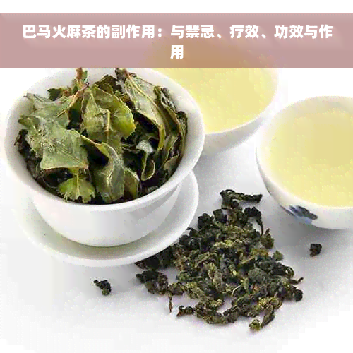 巴马火麻茶的副作用：与禁忌、疗效、功效与作用