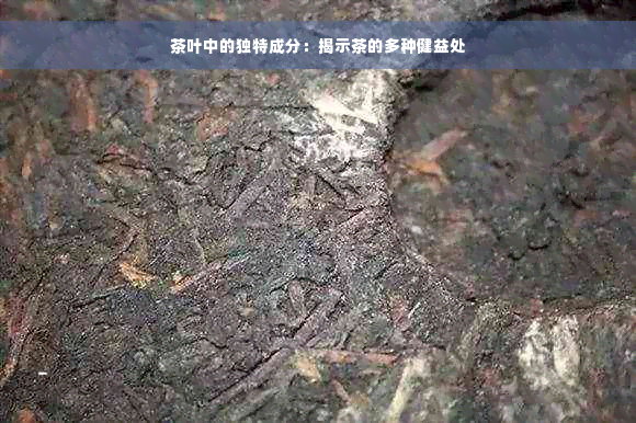 茶叶中的独特成分：揭示茶的多种健益处